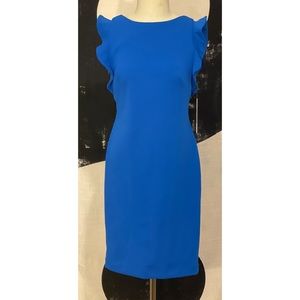 Calvin Klein SZ6 Cobalt Blue Ruffle Sleeve Dress